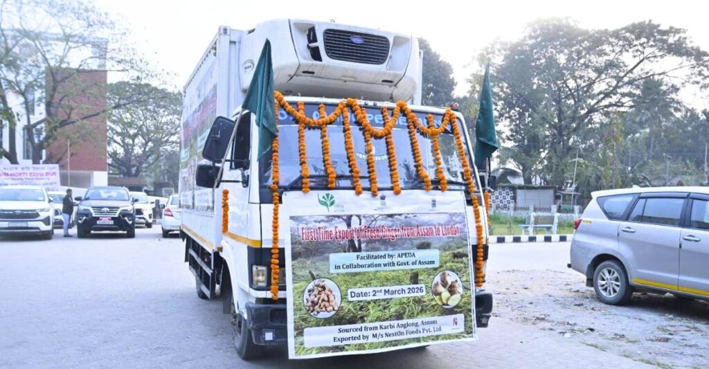 Karbi Anglong Ginger Exported to London: