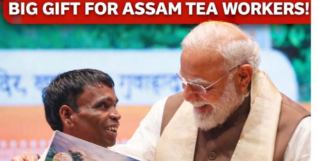  land pattas to tea garden workers in Assam,