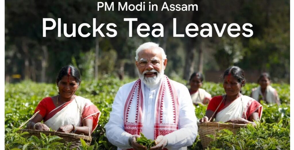 PM Modi Plucks Tea Leaves in Dibrugarh
