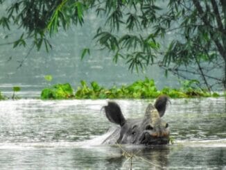 Assam monsoon rain forecast"